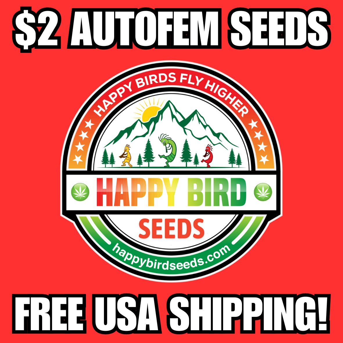 HappyBirdSeeds's tweet photo. Recession Buster Autoflower Genetics - Happy Birds Fly Higher! https://t.co/OZxnpp8hOX #happybird #cannabis #Genetics #seeds #autoflowers #StonerFam #WeedLovers #420Life #StonerBerry #cannabisusa #CannabisCommunity #Homegrown https://t.co/Jlaq21LcLE