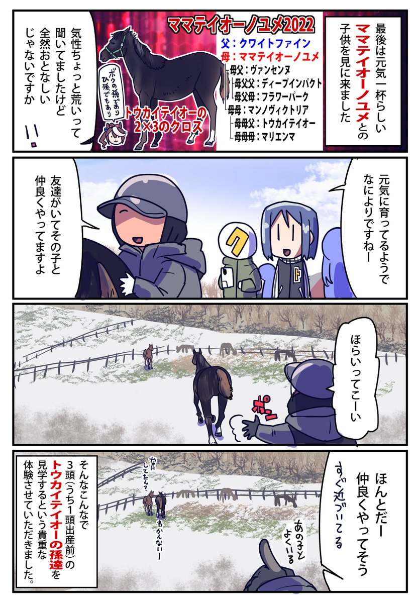 トウカイテイオーの孫でありひ孫な この子が今日7/10(水)で門別4R