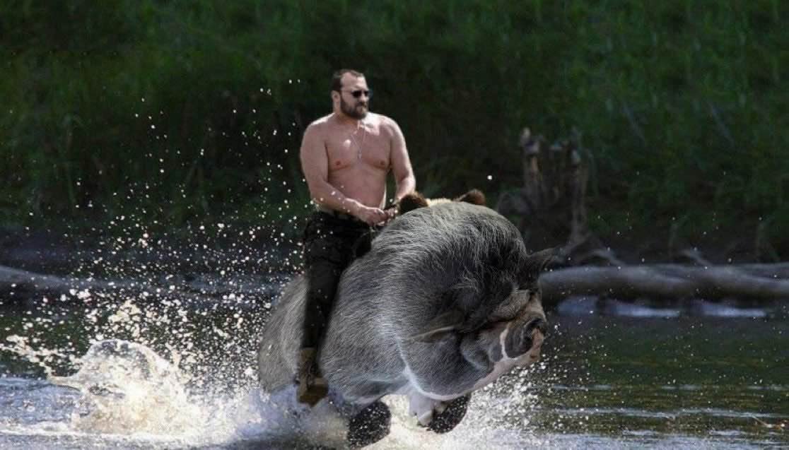 $NIKE and <a href="/IOHK_Charles/">Charles Hoskinson</a> ride together!