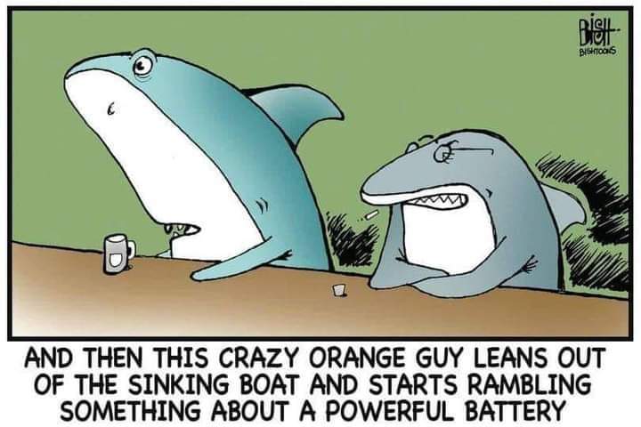 Anne💙🌊🌊🐶Ally for #BLM &🌈 tweet media