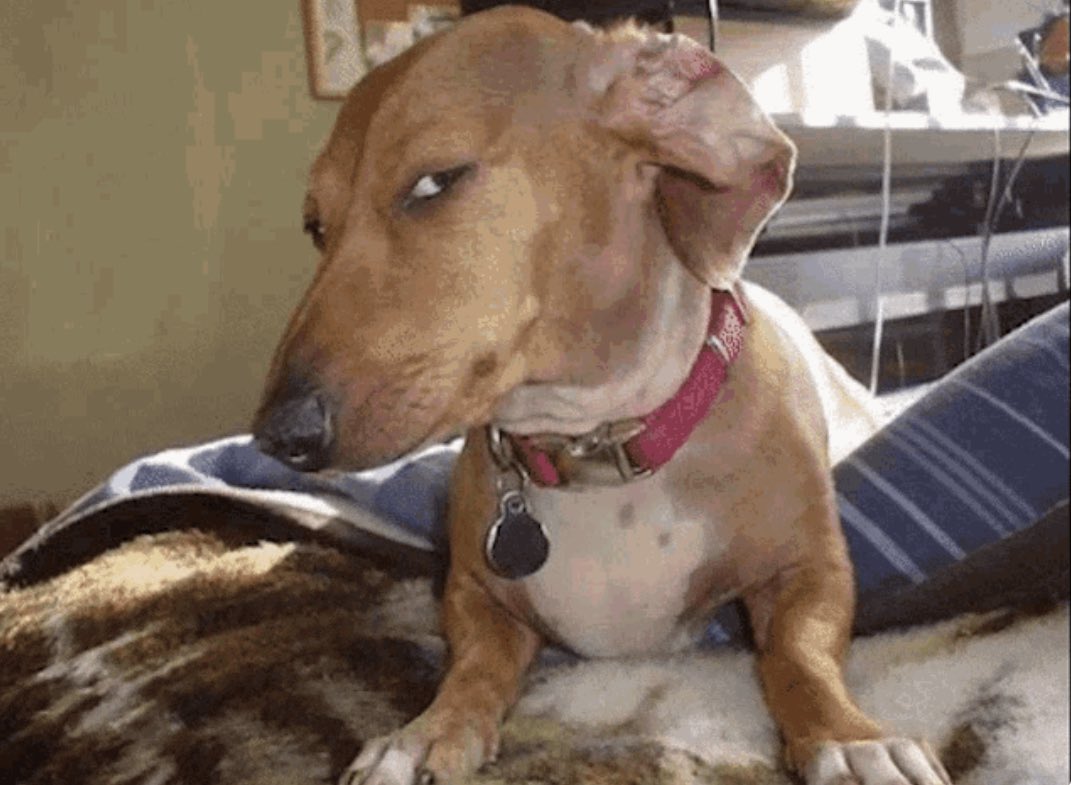 HuntedVAL tweet media