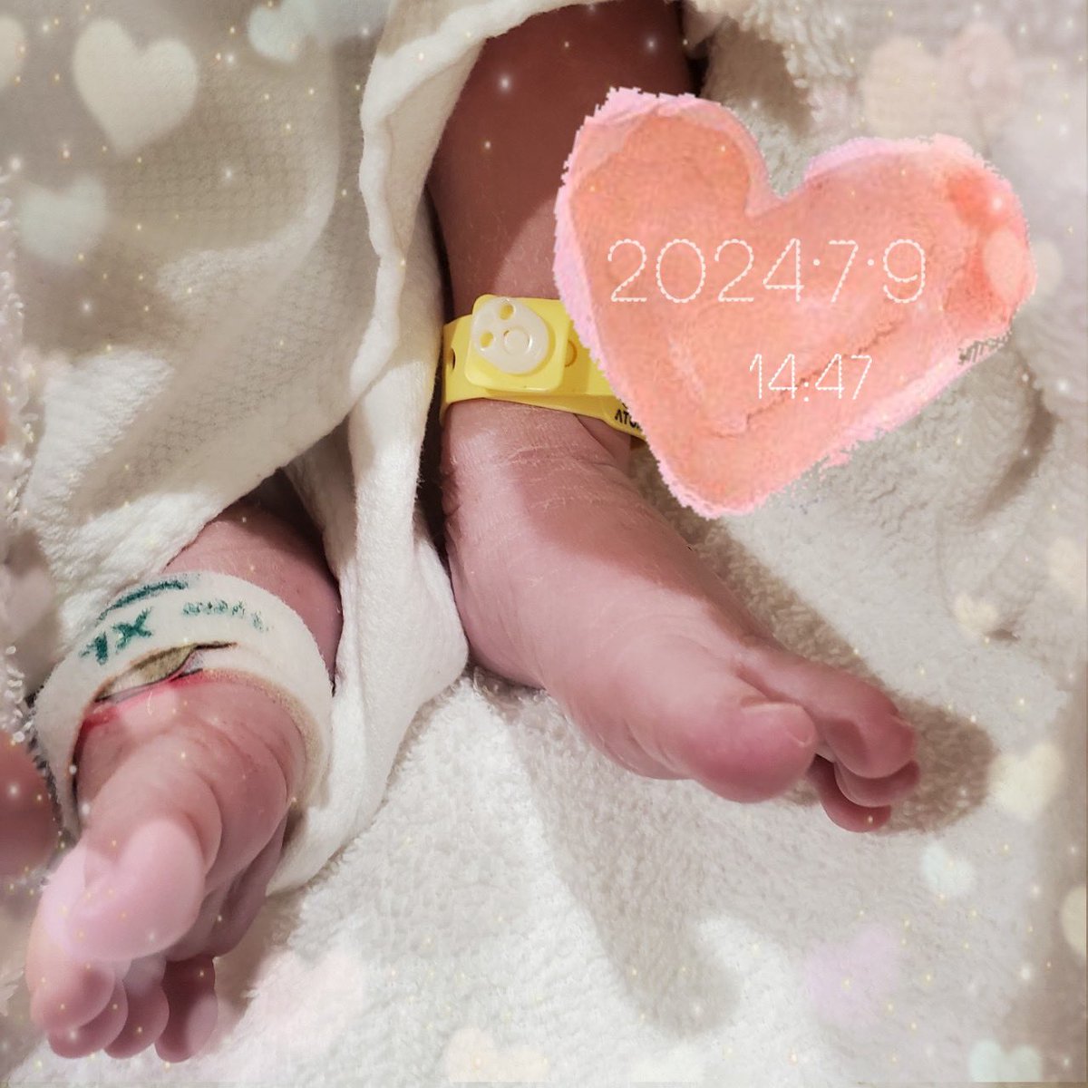 ひょな 🫧𓈒⋆ tweet media