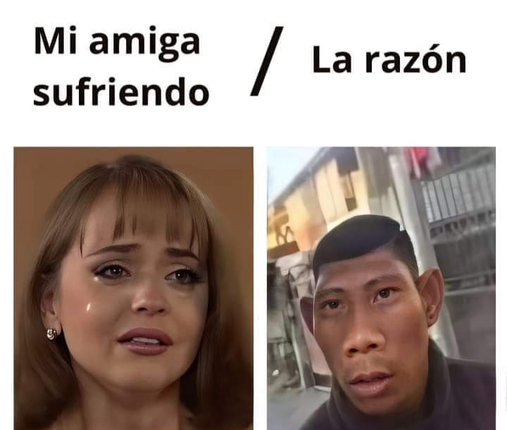 🤣🤣🤣🤣🤣🤣