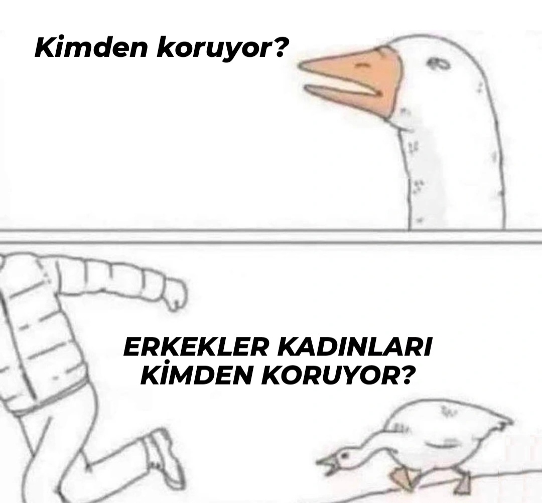 akame 🏳️‍🌈🏳️‍⚧️ (@akameile) on Twitter photo 