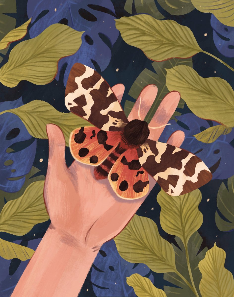 odnatamyara's tweet image. Hi #PortfolioDay ! My name is Yara, I’m a kidlit illustrator, who’s currently looking for new projects! My dream would be to illustrate a nonfic book about animals, nature or any sort of weird creatures! 🐛

Rep’d by @jemiscoe at ABLA
✏️ odnatamyara.com