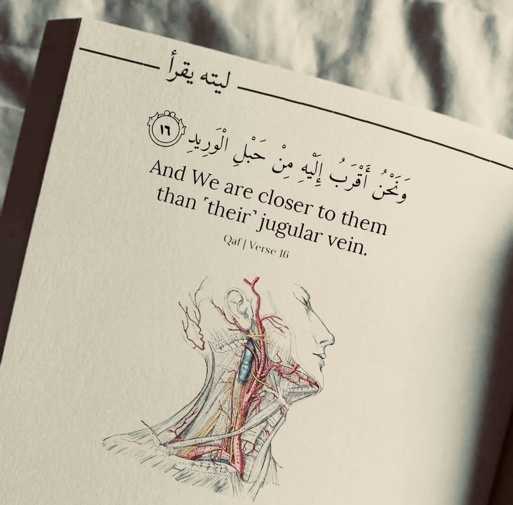 iQutesii's tweet photo. إنّك مُحاطٌ بالله من ڪلِّ جانب اطمئِن.. https://t.co/jKrqMA8nKk
