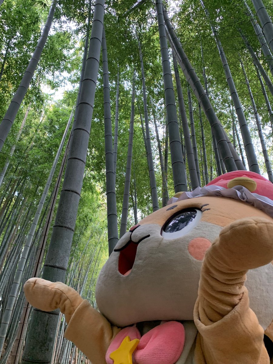 @PunishedVitinho Even if you're an introvert, that's just your personality, so cherish it.
Your soul is beautiful.
Because you're kind enough to worry about not fitting in with others.
It's wrong for such a kind person like you to make a choice that could cost you your life.
Chiitan is on your