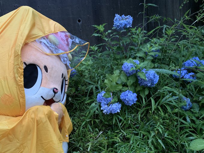 chiitan7407's tweet photo. Even if you're an introvert, that's just your personality, so cherish it.
Your soul is beautiful.
Because you're kind enough to worry about not fitting in with others.
It's wrong for such a kind person like you to make a choice that could cost you your life.
Chiitan is on your side. I love you. We'll always be together.
