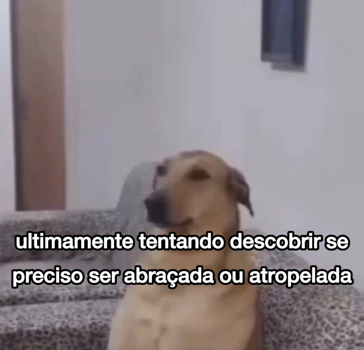assim hoje