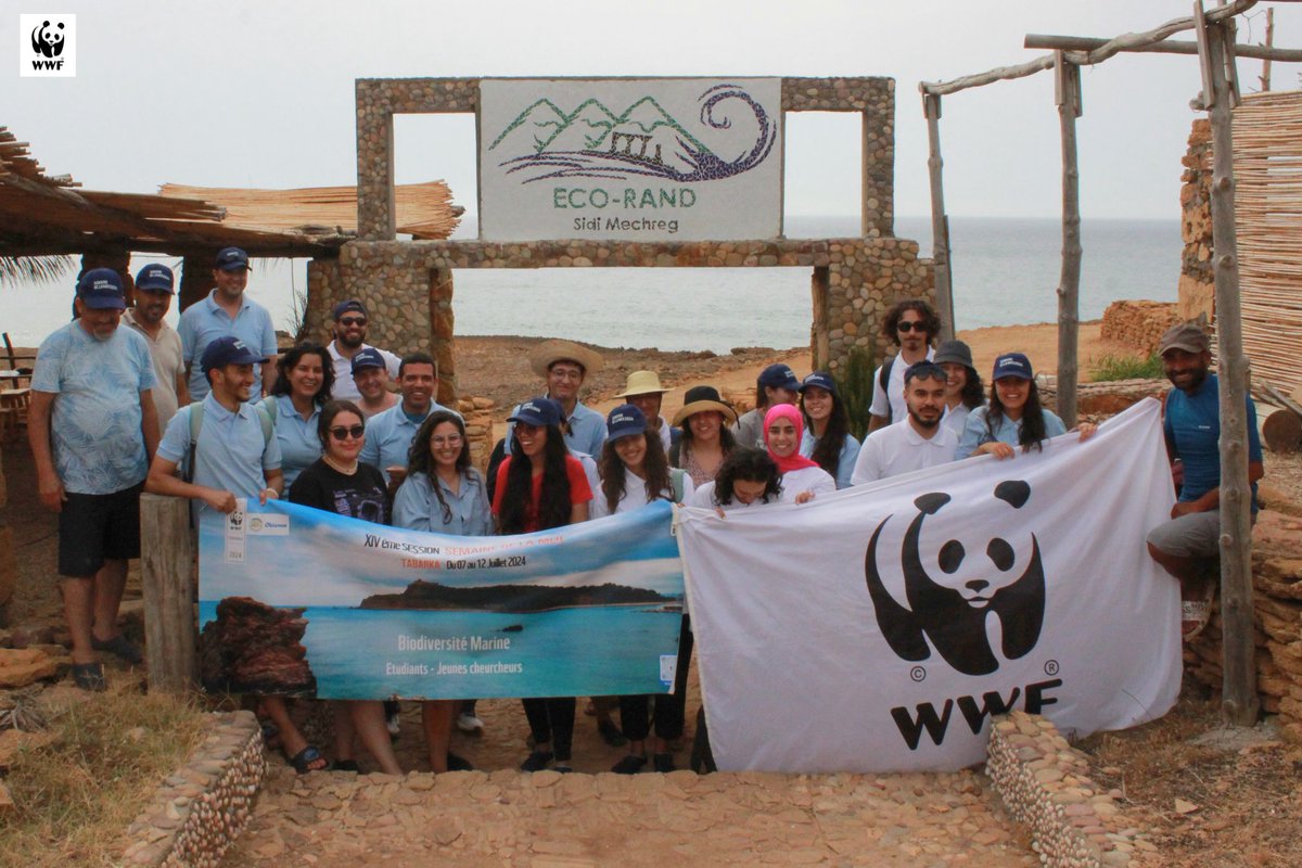 WWFNorthAfrica's tweet photo. 🌊🐼The Week of the Sea in #Tabarka🇹🇳has begun! Students explore marine science at Cork National Museum and study coastal biodiversity at Sidi Mechreg Beach. Expert workshops improve their understanding of marine conservation and discover more scientific experiments.#SeaWeek #WWF https://t.co/1UfREBNRSI