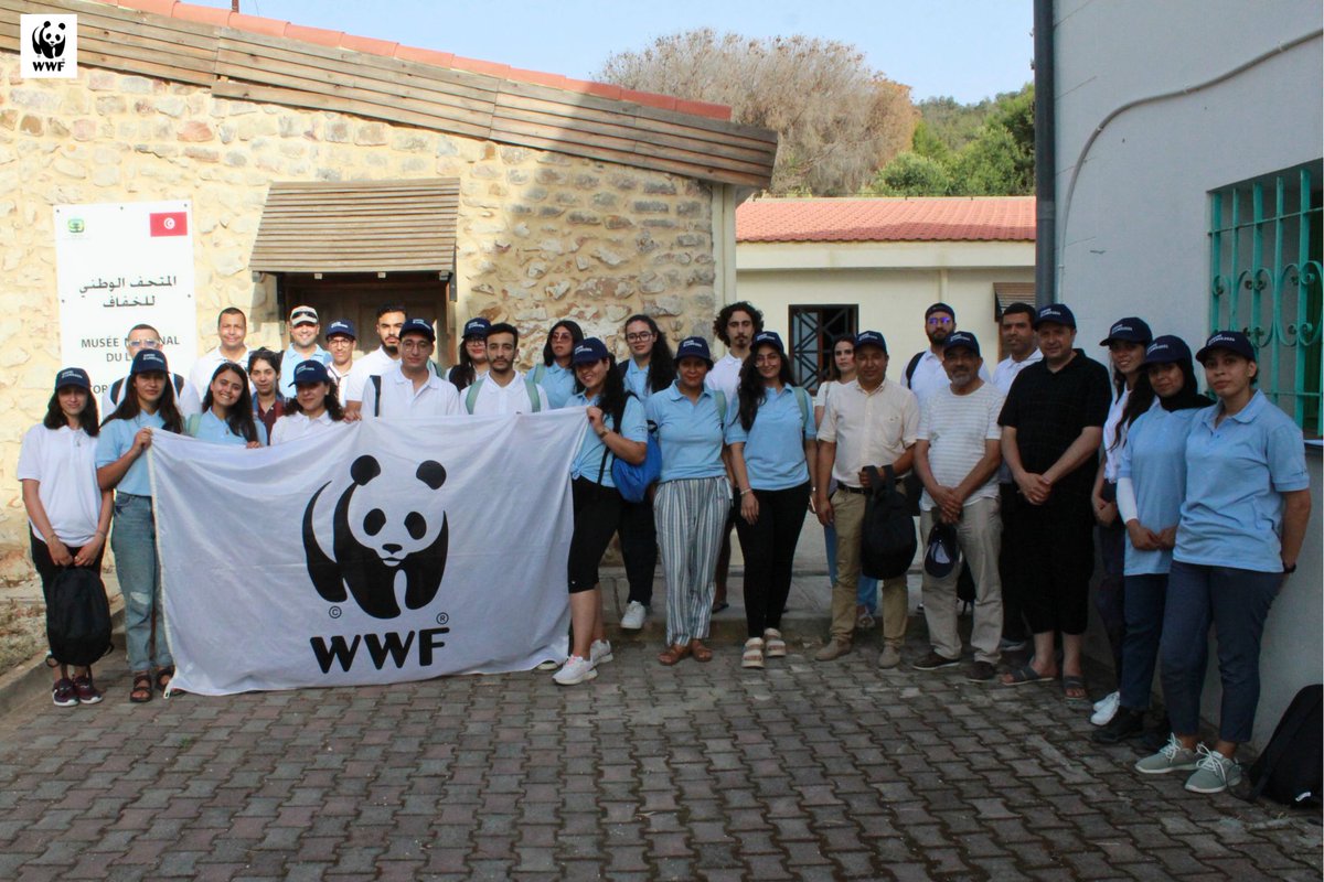 WWFNorthAfrica's tweet photo. 🌊🐼The Week of the Sea in #Tabarka🇹🇳has begun! Students explore marine science at Cork National Museum and study coastal biodiversity at Sidi Mechreg Beach. Expert workshops improve their understanding of marine conservation and discover more scientific experiments.#SeaWeek #WWF https://t.co/1UfREBNRSI