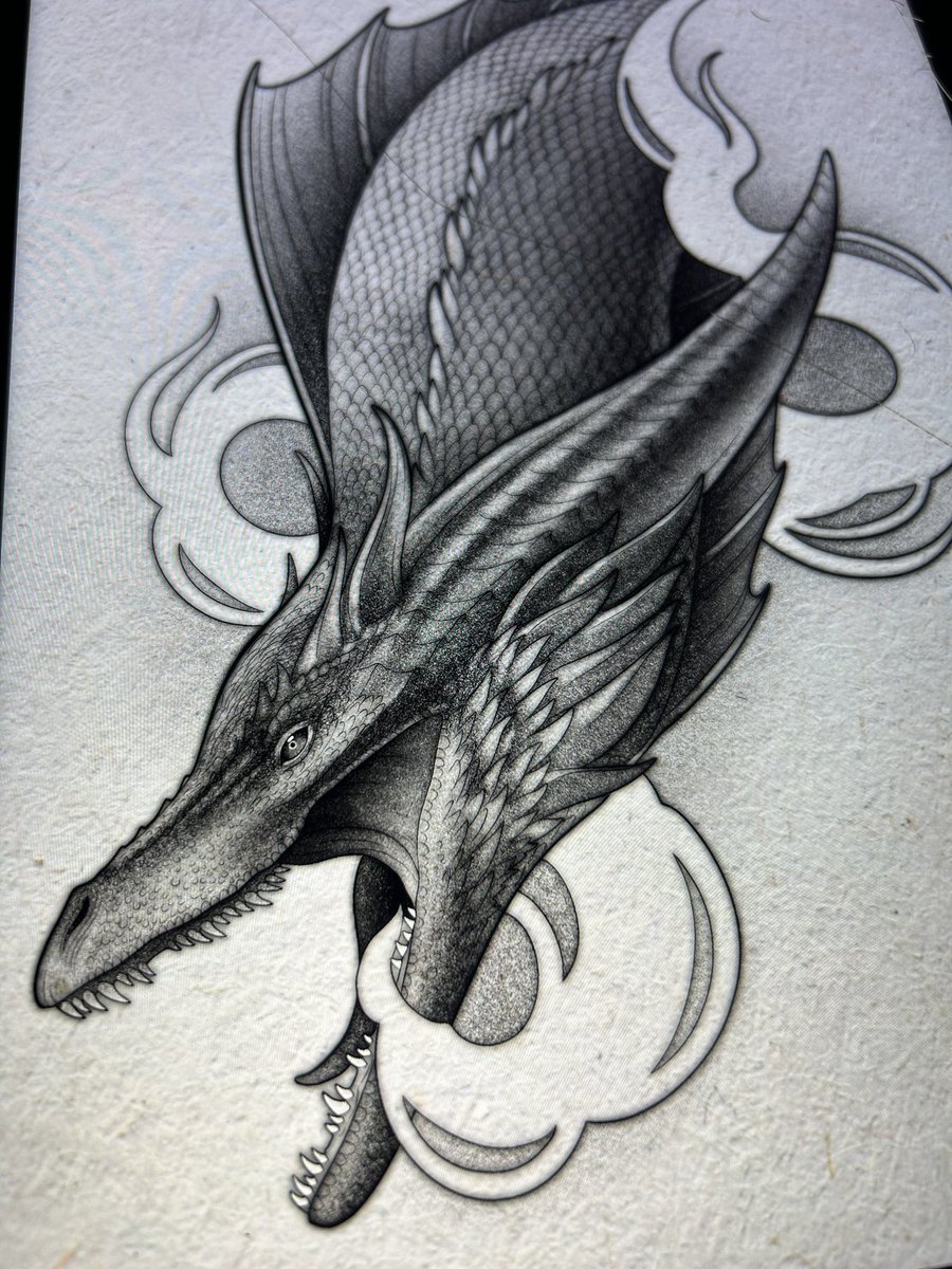 shitbird5000's tweet photo. Might have gone a bit mad drawing the incredible dragons from #HouseOfTheDragon https://t.co/QTcv0y2RoZ