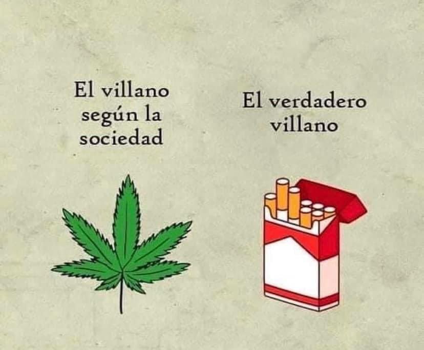 El Paragua Venenoso (@elparaguayo1231) on Twitter photo 