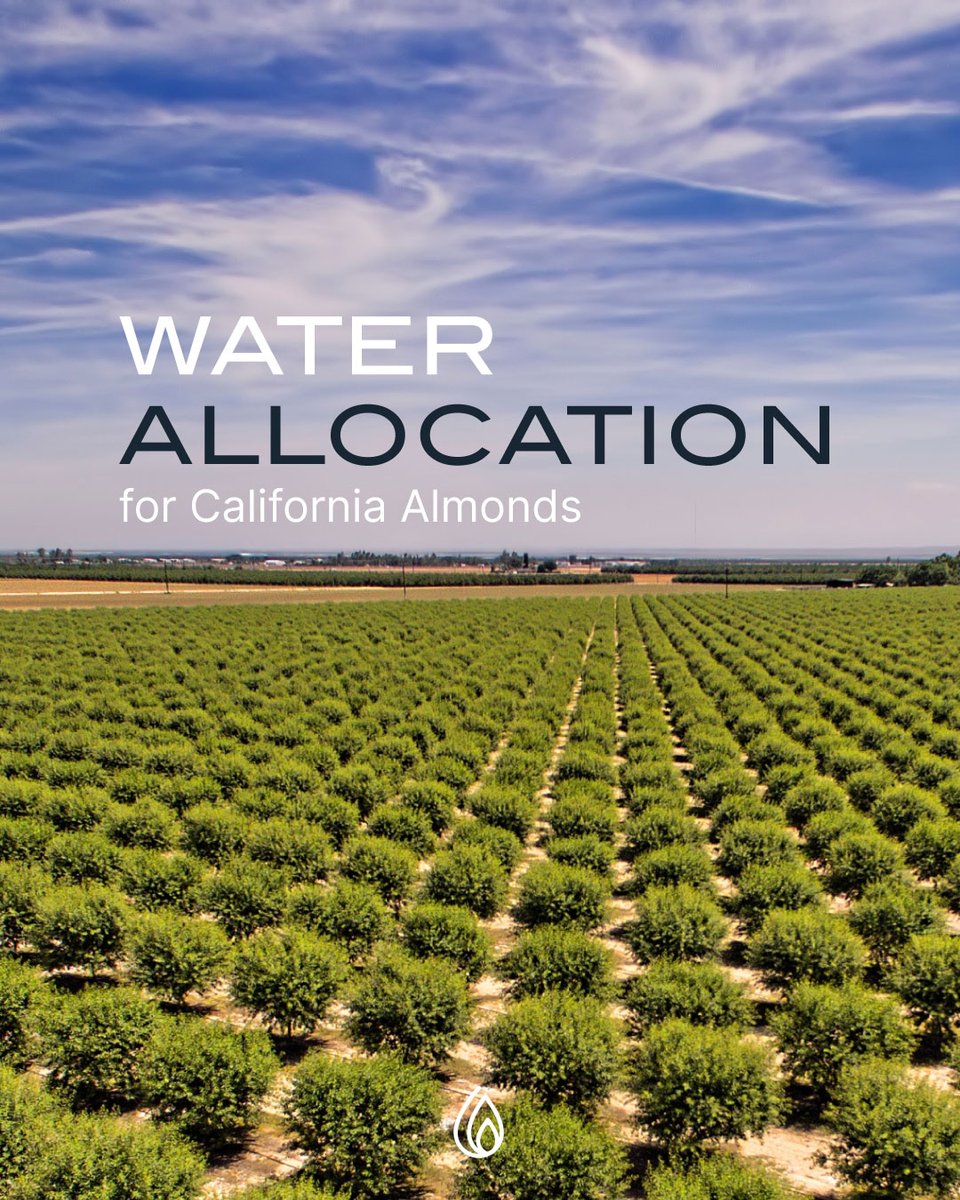 WaterTimer_'s tweet image. Water allocation for California almonds is a hot topic! Did you know that almond farming consumes significant amounts of water? 

Balancing agricultural needs with water conservation is crucial for sustainability. 

#watertimer #waterefficiency #watersustainability
