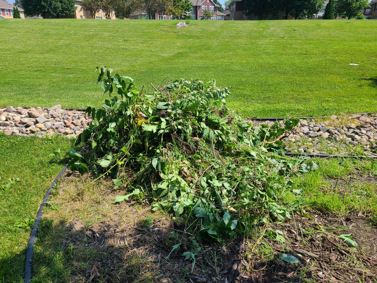 Anna Dutke tweet media