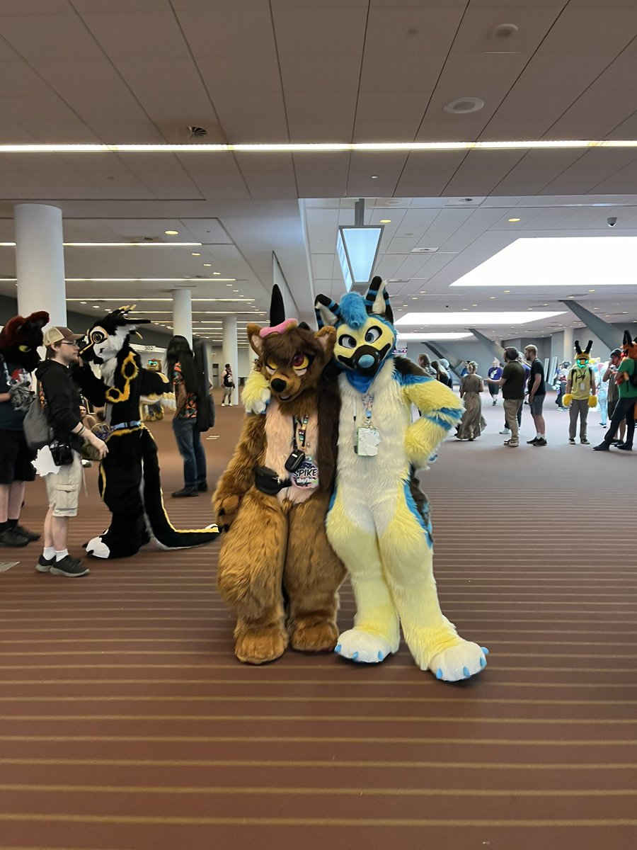 Spikesfursuit's tweet photo. Went to anthrocon 2024 and met some amazing fursuiters! I loved meeting you. #furry #fursuit #anthrocon #Anthrocon2024 https://t.co/e2U5YtEABR