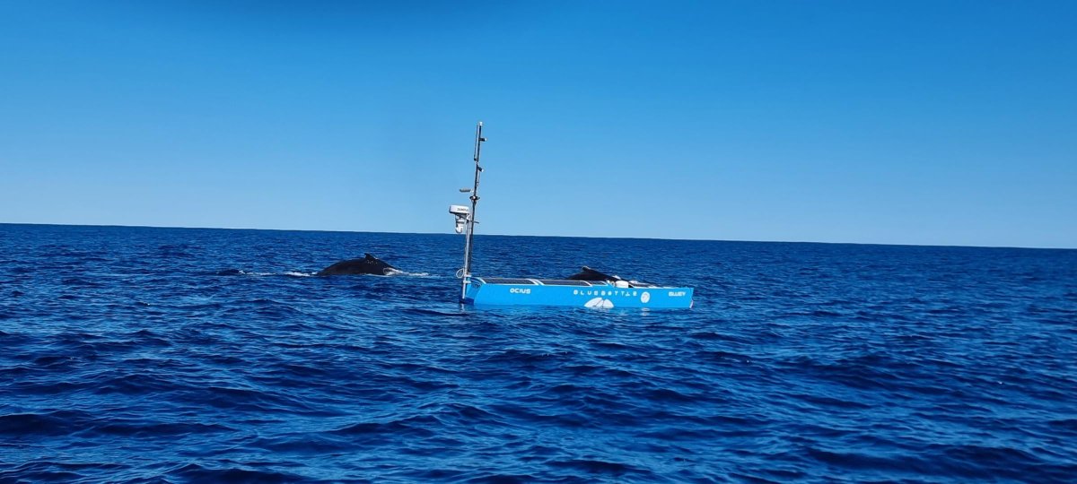 OciusTechnology's tweet photo. We're thrilled to announce our collab with BMT to revolutionize maritime data collection with 1,000 autonomous vessels in the next decade.
#MaritimeInnovation #AutonomousVessels #OciusTechnology #BM https://t.co/vrXOk56fmu