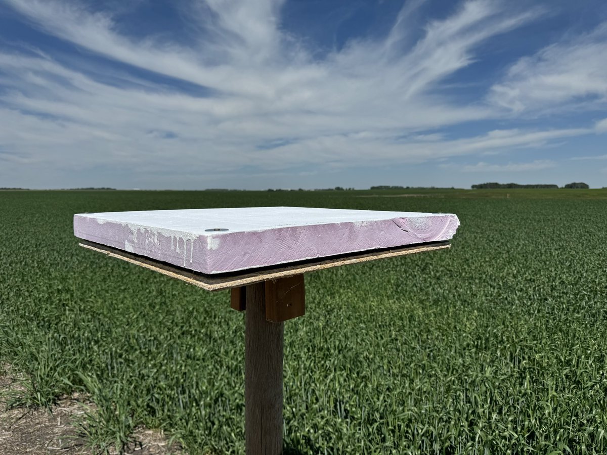 NHP_field's tweet photo. In partnership with @OldsCollege, the @NHP_Field team has installed a hailpad at the Weather Station Array and field 18 at Olds College. These hailpads will passively record #hail impacts and will allow us to conduct post-event analysis of the hail sizes and intensity. https://t.co/vbZDZ7uAZC