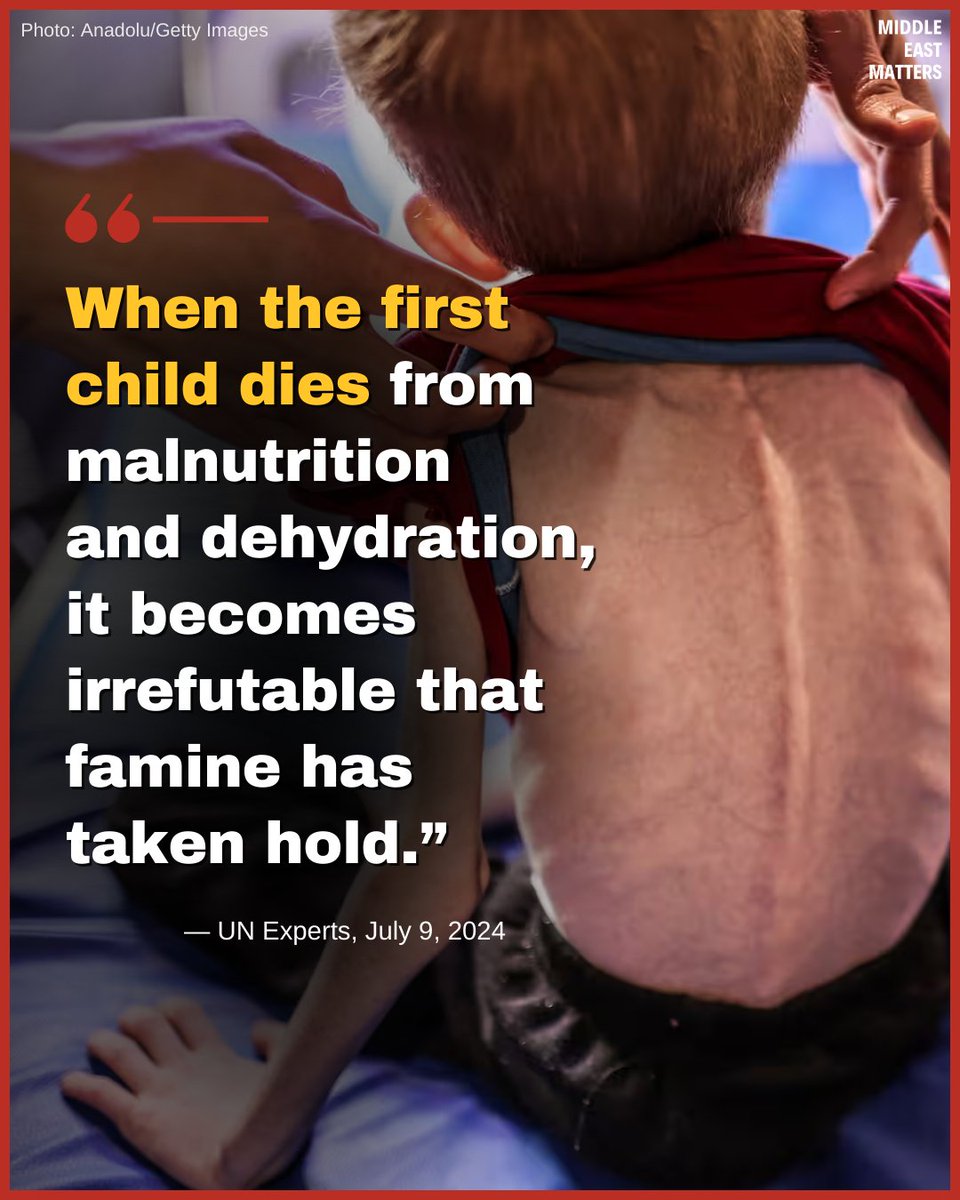 Middle East Matters (MEM) tweet media