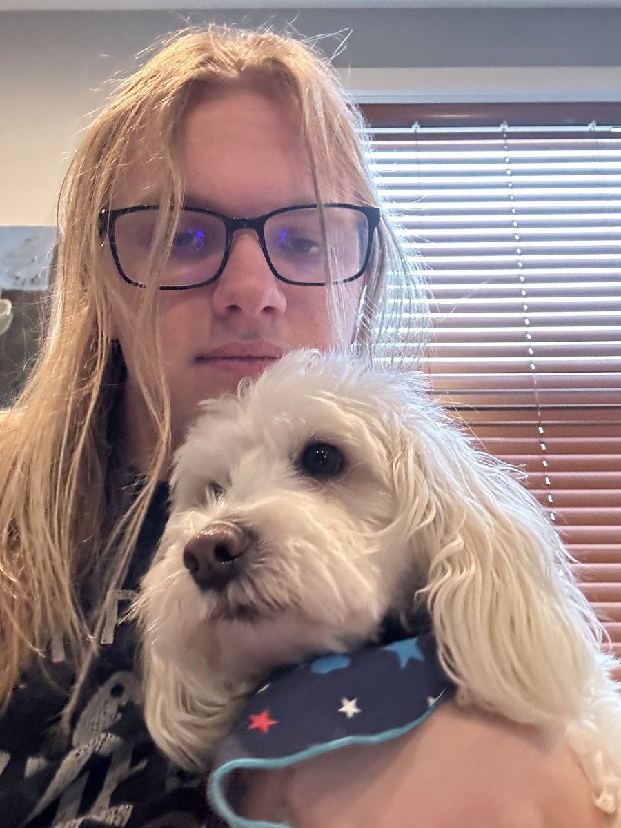 Ezra_W_'s tweet photo. dog https://t.co/l1AGfT7siF