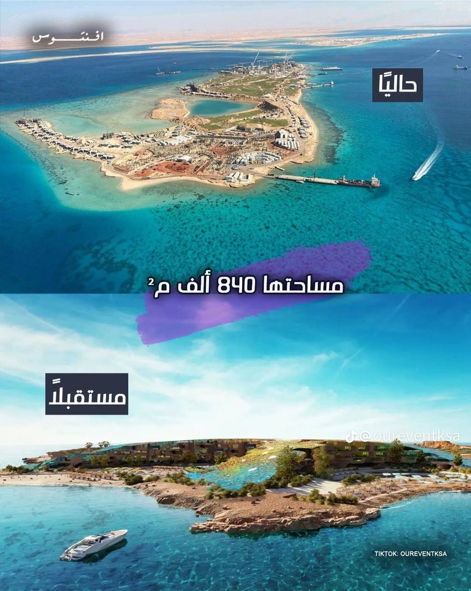 مها عبدالرحمن الدباسي tweet media