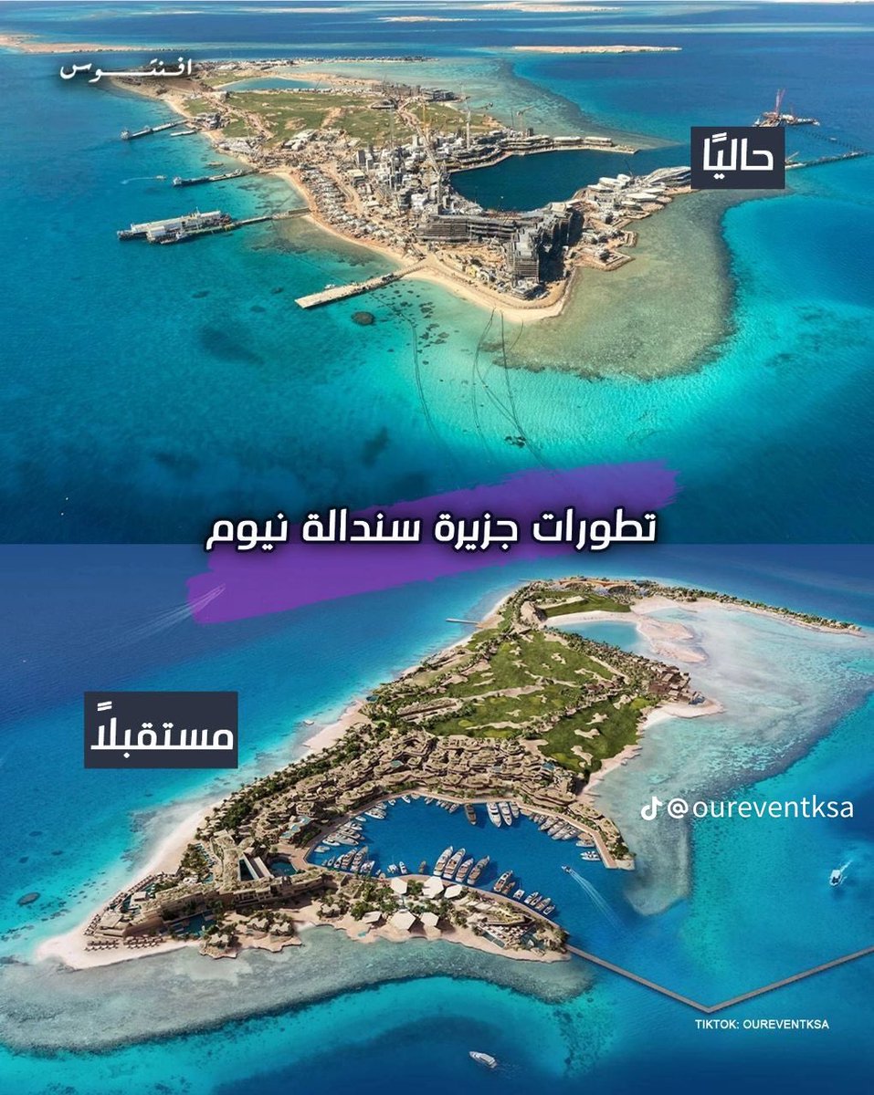 مها عبدالرحمن الدباسي tweet media