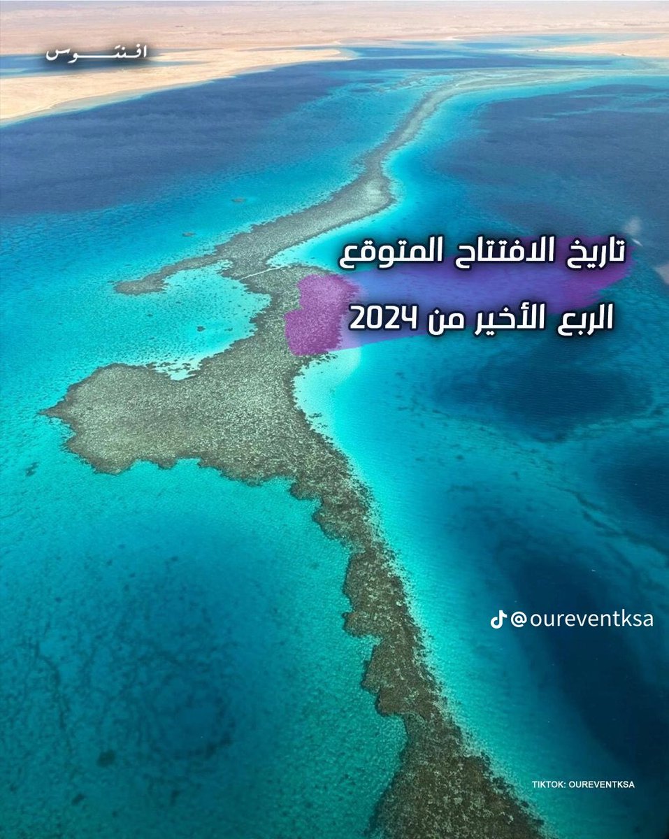 مها عبدالرحمن الدباسي tweet media