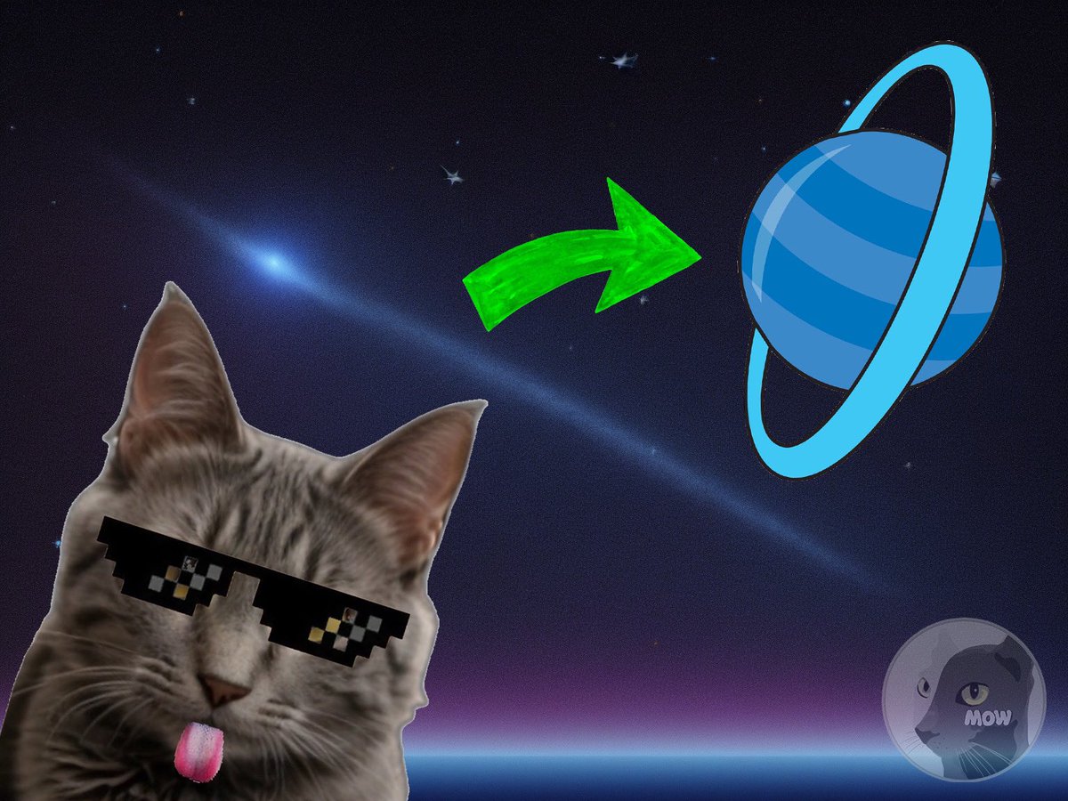 BobainuFam's tweet photo. @elonmusk Care to caption 😹 https://t.co/oKPVVMjGXh