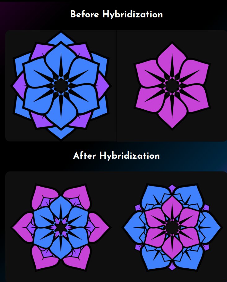 ZedZeroth's tweet photo. 5/ This is where it gets really fun! If you send multiple flowers together then they ๐งฌ#Hybridize. Two simple flowers will turn into two more intricate mandala artworks, each unique but with traits inherited from both parents. Here's what happens when you send #002 & #010 together: