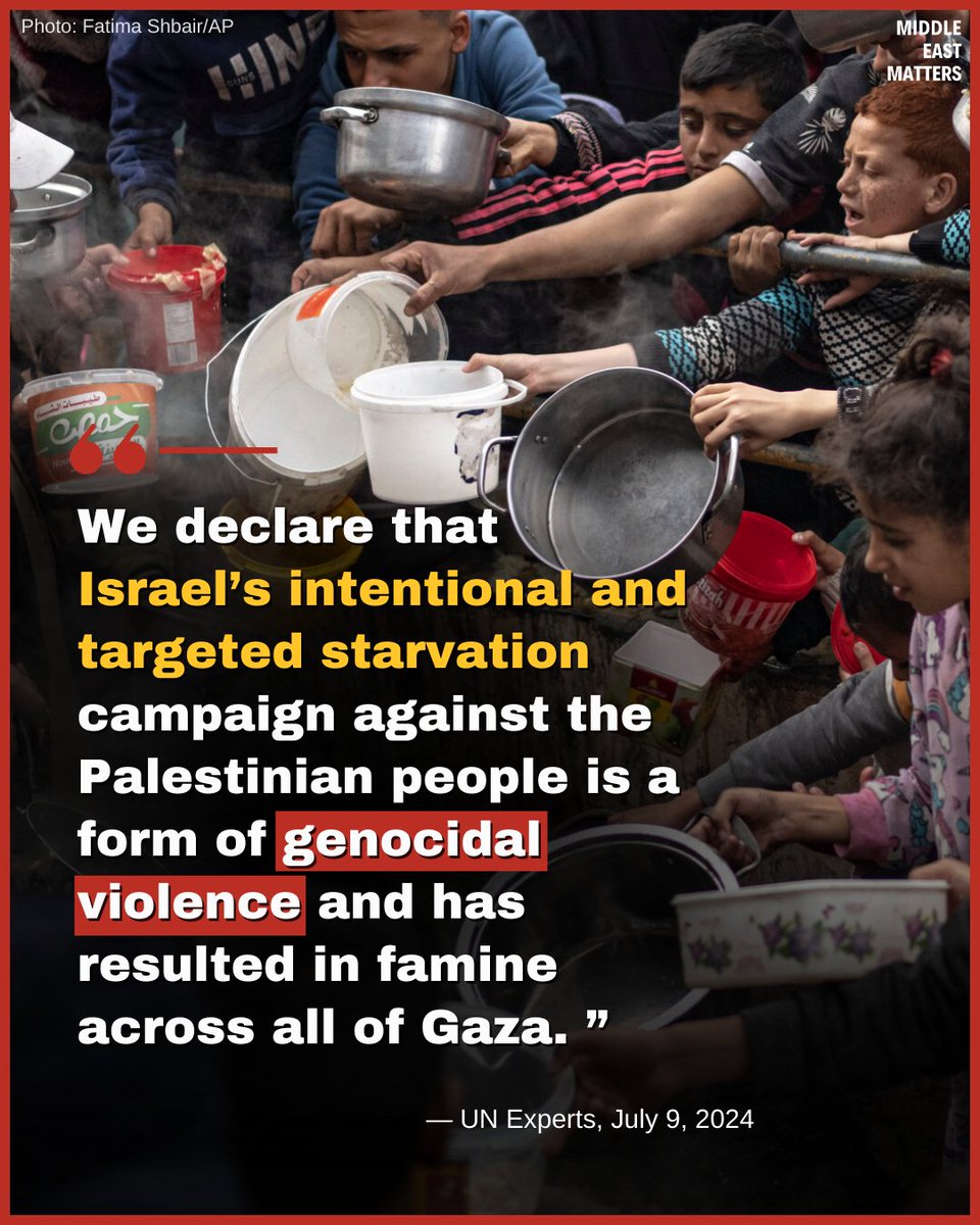 Middle East Matters (MEM) tweet media