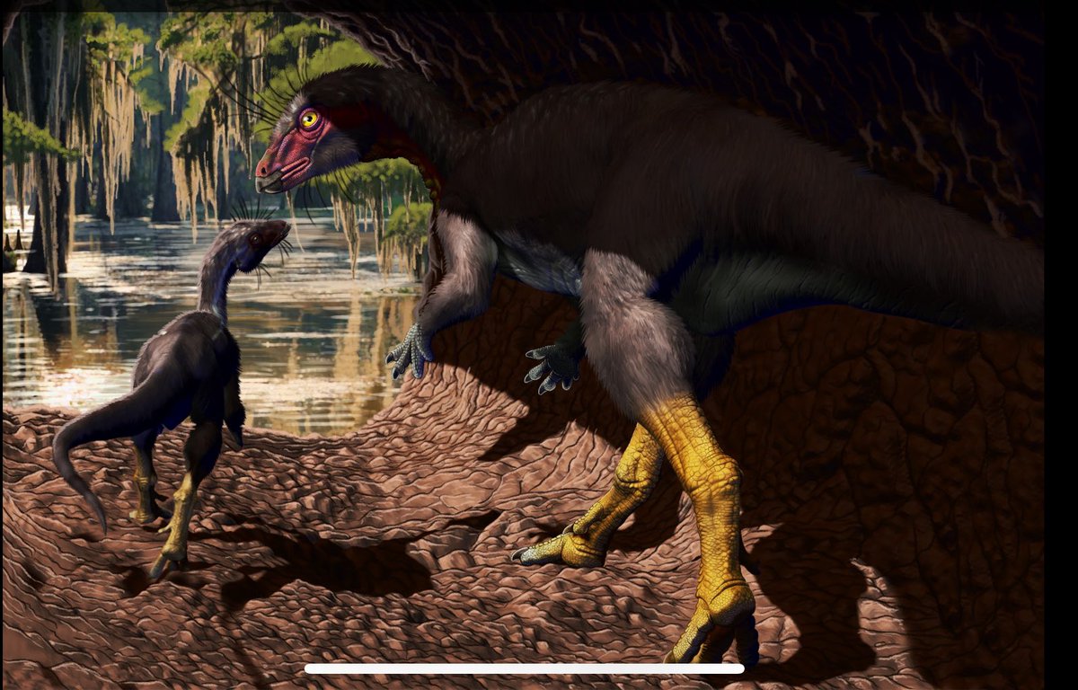 Lindsay Zanno tweet media