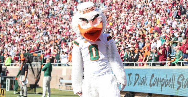 Gaby Urrutia tweet media