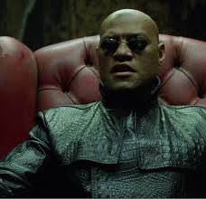 Dynasty_JoeFF's tweet image. No one can be told what the #OmniStack is. You have to see it for yourself.