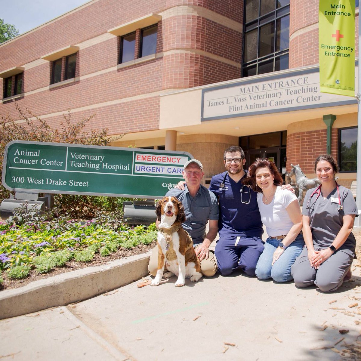 Colorado State University tweet media