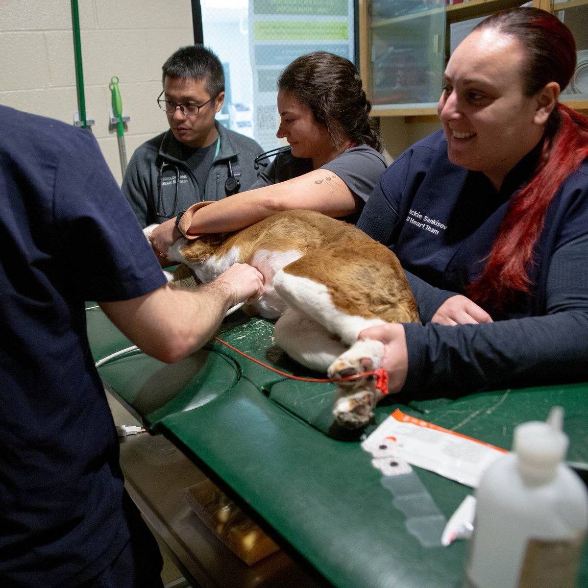 Colorado State University tweet media