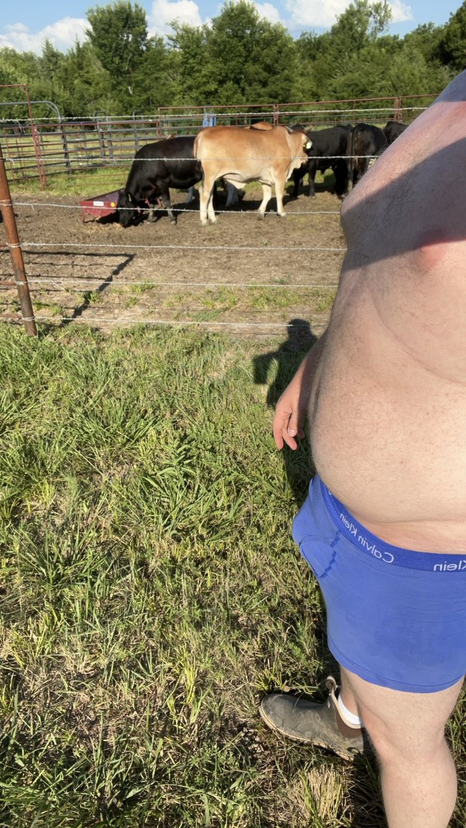 Let’s go feed heifers