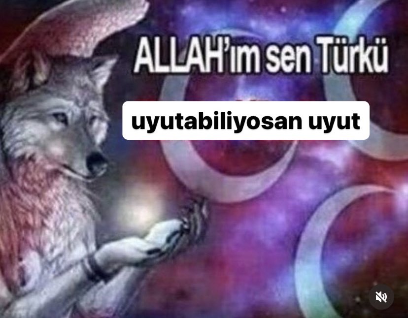 türk uyudu sandınız
lakin 
türk uyuyamıyor