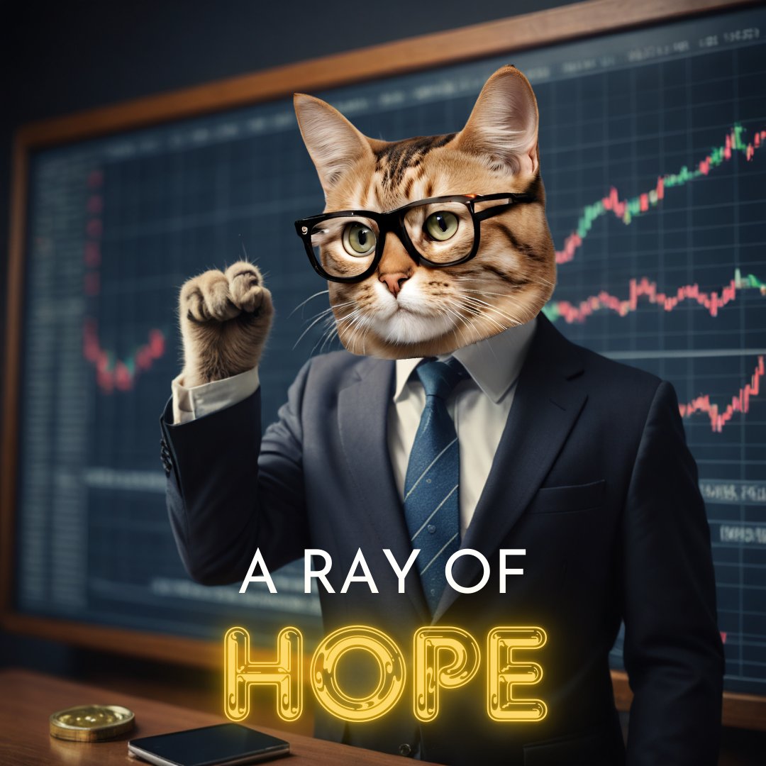 truthsarepainf1's tweet photo. That's why I found you for winning more! Come, hop in $RAY to shine hope on Solana! Dev live on pumpfun, strong community! Let's gain some meowgical winzzz.

🔗 Telegram: https://t.co/CeInpuCvqj 
📷 Contract: tAEcP7vhzMrgeEELgU8AnUtkcLNpkU3BAQr6wt3R9hD #RiskAssessmentYield #Crypto #MeowgicalGains