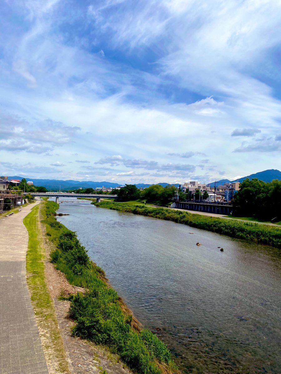 yuichiJonetu's tweet photo. 踏み出す1歩には、それぞれの想い。カッコつけて転んだ後、つぶれないように守った小さな花をポケットから青空に https://t.co/jKyP19yPpE