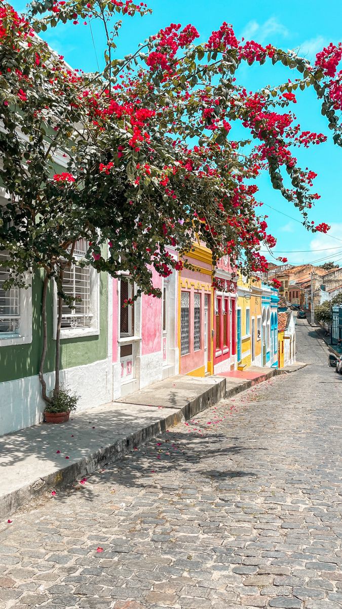 Viviifernande's tweet photo. Olinda, Pernambuco.
Suas lindas ruas com essas casas coloridas sempre encantam!

Desconheço autoria. https://t.co/C8FPGbJJPa