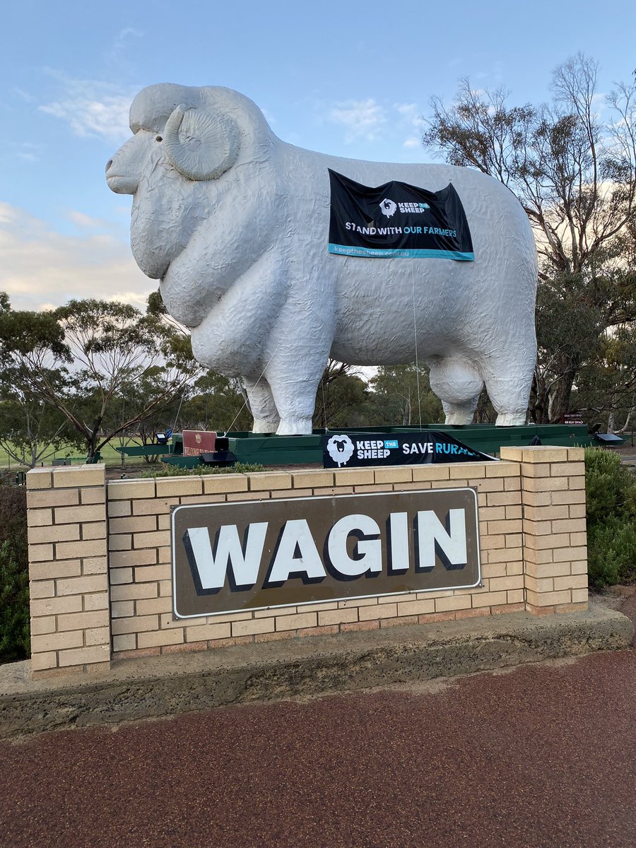 JamieNicolaou's tweet photo. He might be a statue, but he’s got more balls than Murray Watt. #statuebro #keepthesheep https://t.co/BiF2rUW1Uc
