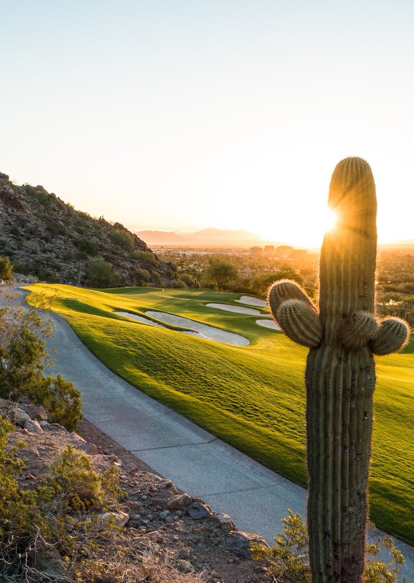 Desert Beauty. 

golfscottsdalearizona.com

Book the best Buddy Trips and Family Golf Vacations in Scottsdale and the Greater Phoenix area today. 

📸 <a href="/BrianOarGolf/">Brian Oar</a>
