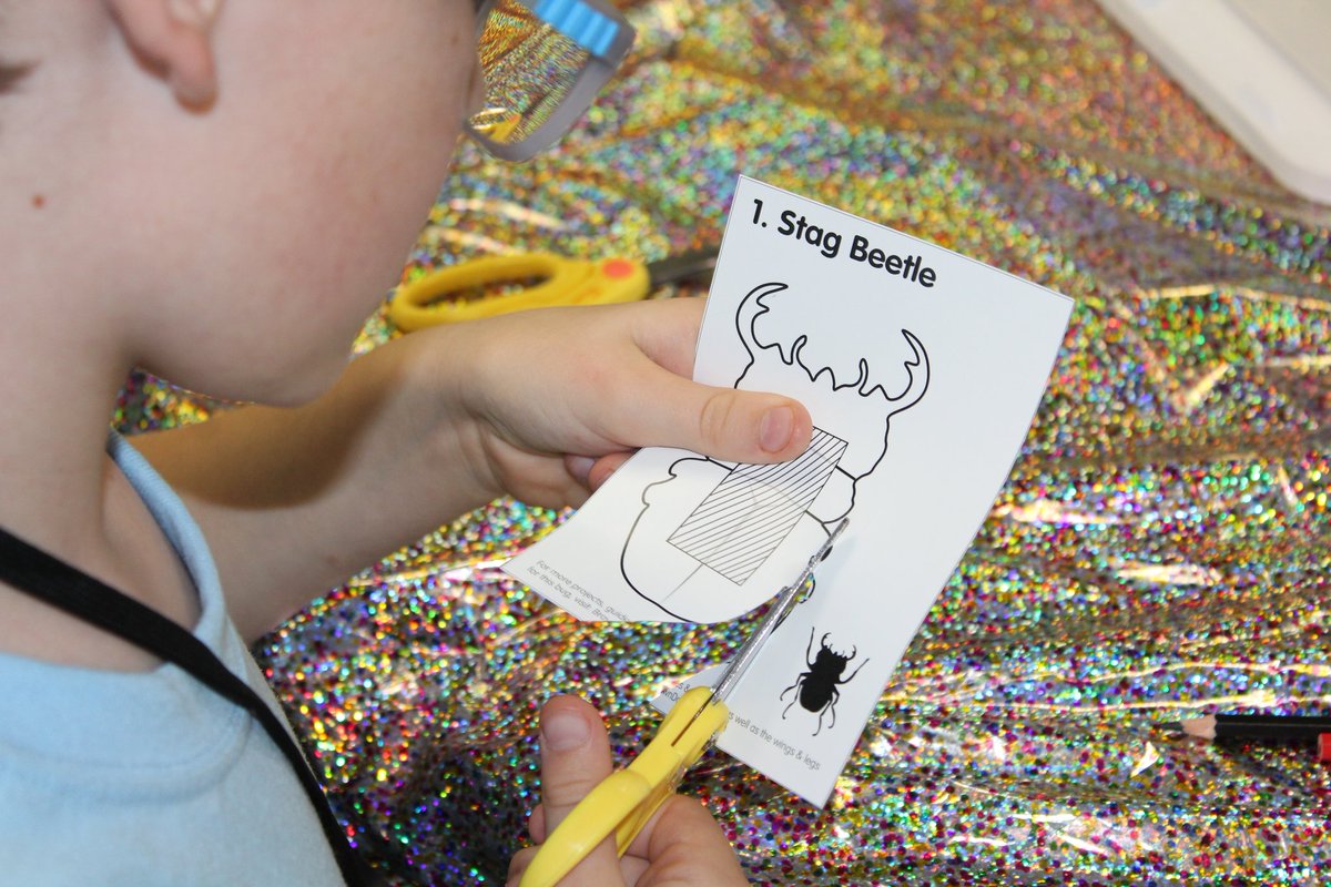 Kids Discovery Factory tweet media