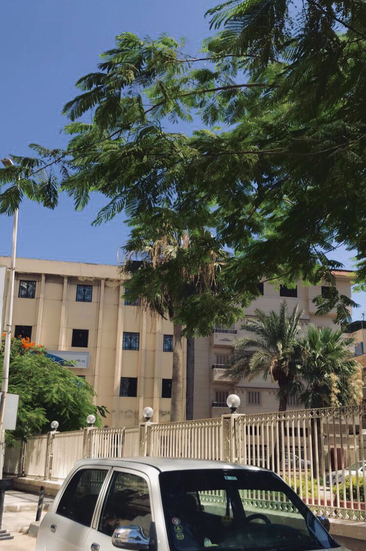 EsLAm_ing's tweet photo. 4D’ https://t.co/SMXsHqkpLC