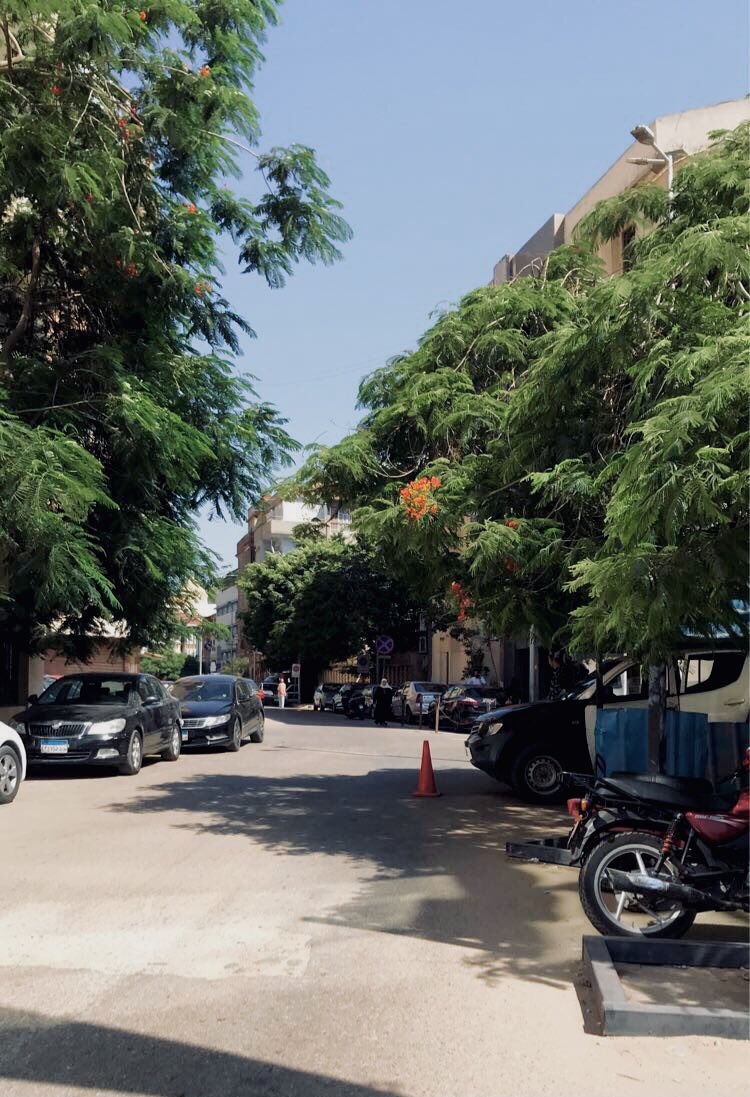 EsLAm_ing's tweet photo. 4D’ https://t.co/SMXsHqkpLC