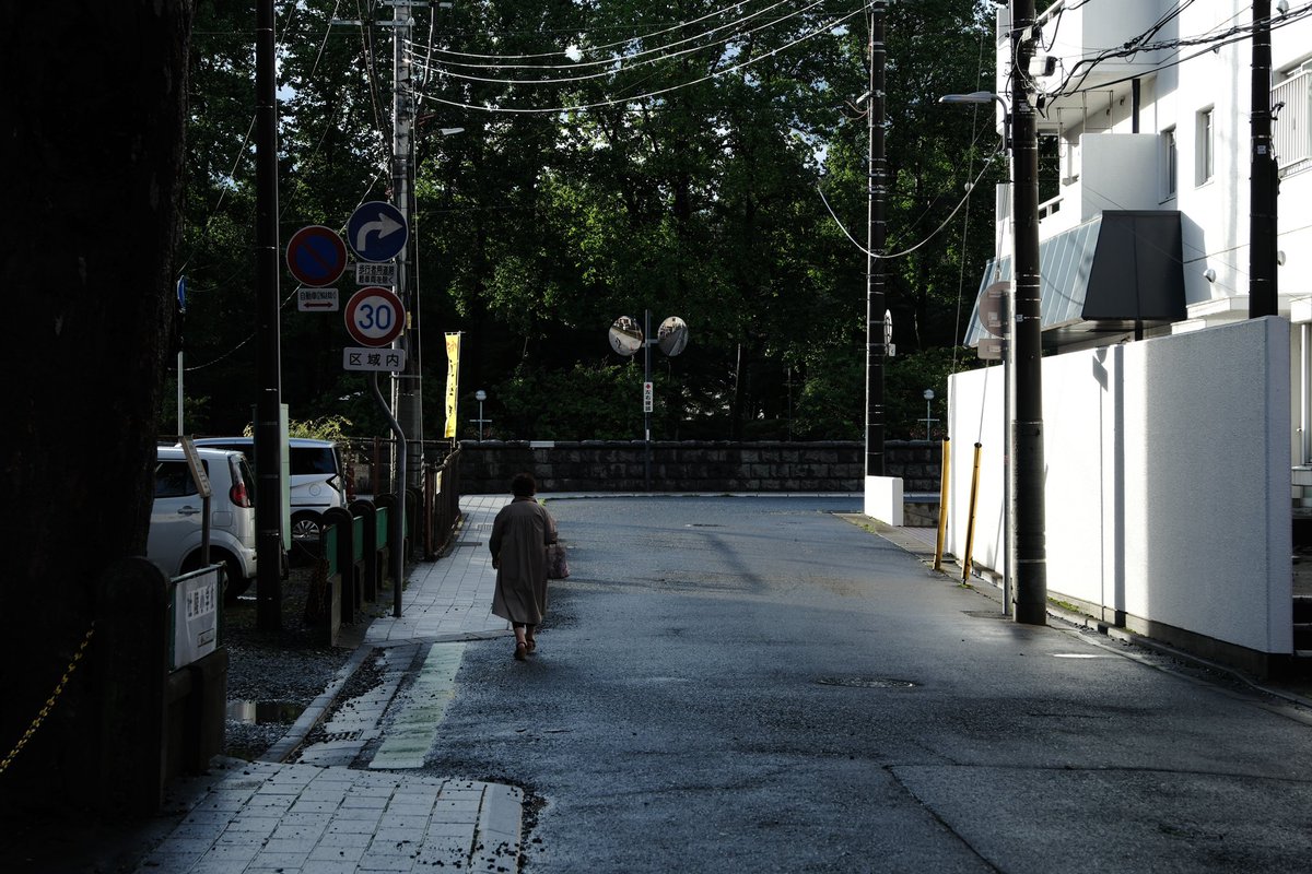 monkyDIO's tweet photo. after the rain https://t.co/tAkBbSjybT