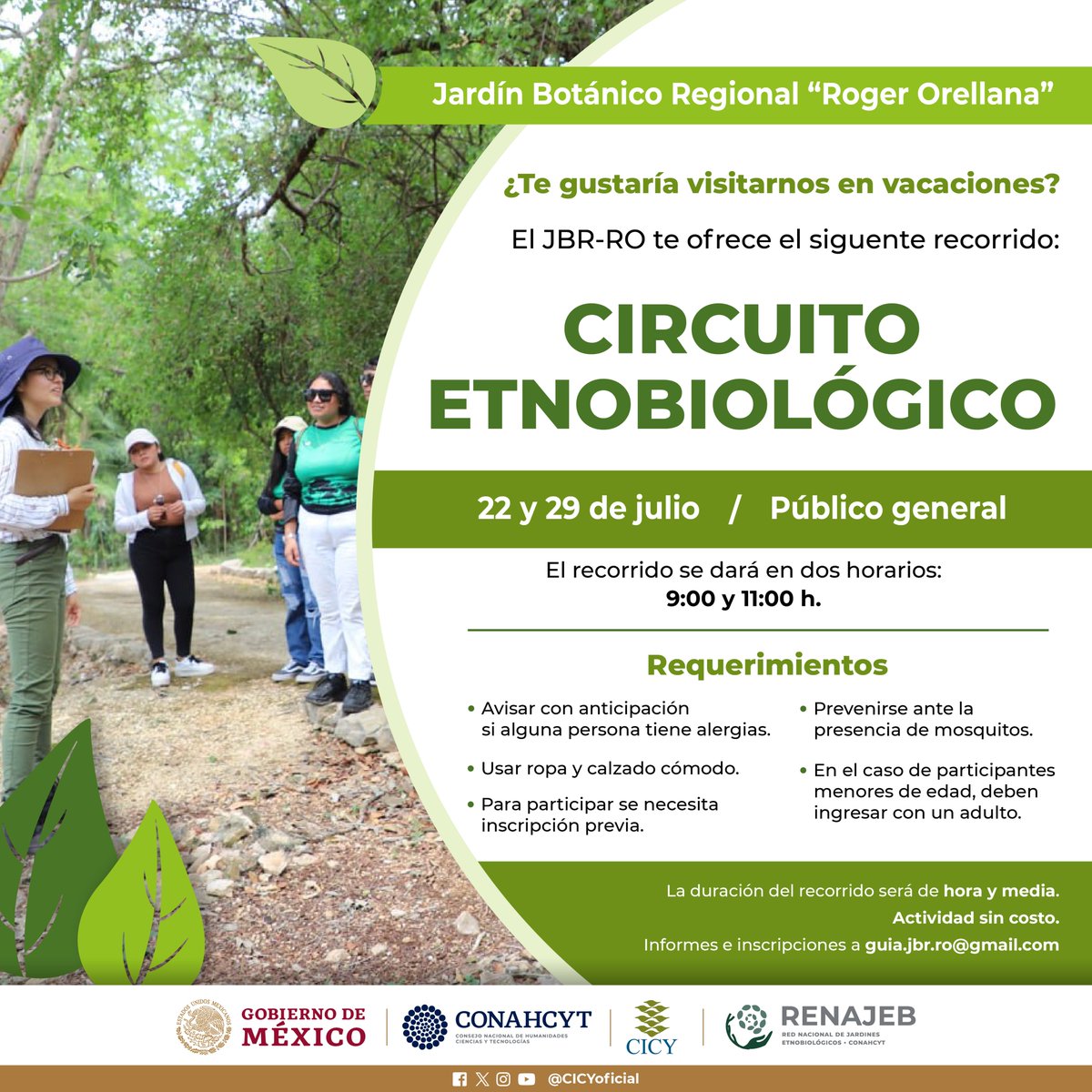 CICYoficial's tweet photo. ¿Te gustaría visitarnos en #vacaciones? El Jardín Botánico Regional "Roger Orellana" del #CICY te invita a los siguientes recorridos temáticos.

Informes e inscripciones al correo guia.jbr.ro@gmail.com https://t.co/vyeXKBJLBV