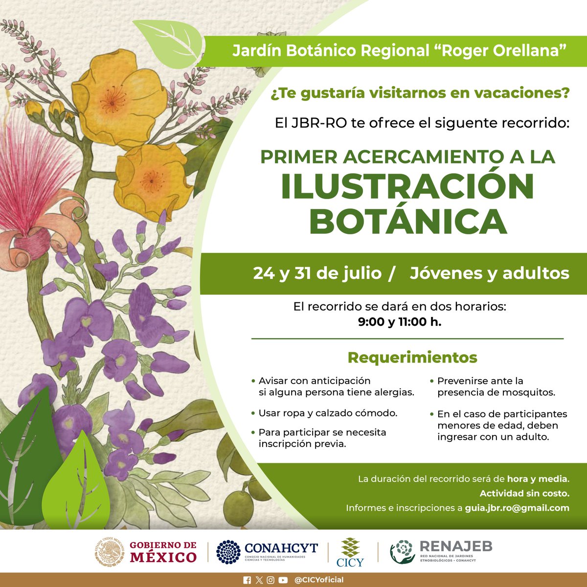 CICYoficial's tweet photo. ¿Te gustaría visitarnos en #vacaciones? El Jardín Botánico Regional "Roger Orellana" del #CICY te invita a los siguientes recorridos temáticos.

Informes e inscripciones al correo guia.jbr.ro@gmail.com https://t.co/vyeXKBJLBV