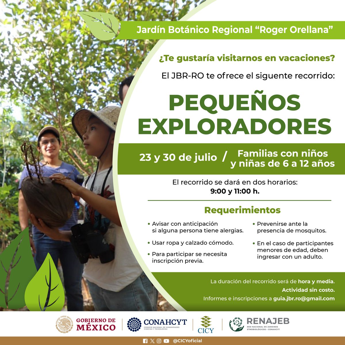 CICYoficial's tweet photo. ¿Te gustaría visitarnos en #vacaciones? El Jardín Botánico Regional "Roger Orellana" del #CICY te invita a los siguientes recorridos temáticos.

Informes e inscripciones al correo guia.jbr.ro@gmail.com https://t.co/vyeXKBJLBV