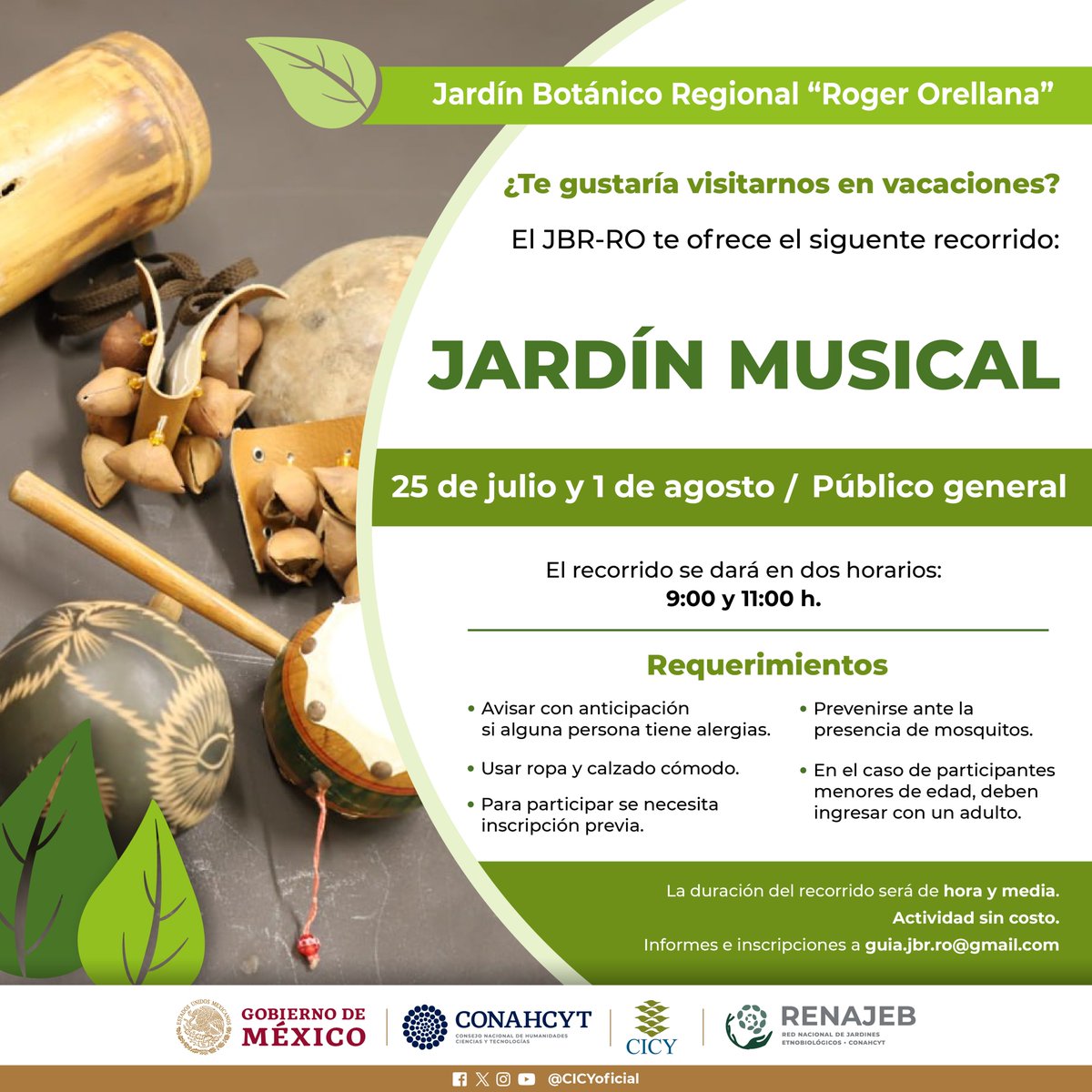 CICYoficial's tweet photo. ¿Te gustaría visitarnos en #vacaciones? El Jardín Botánico Regional "Roger Orellana" del #CICY te invita a los siguientes recorridos temáticos.

Informes e inscripciones al correo guia.jbr.ro@gmail.com https://t.co/vyeXKBJLBV